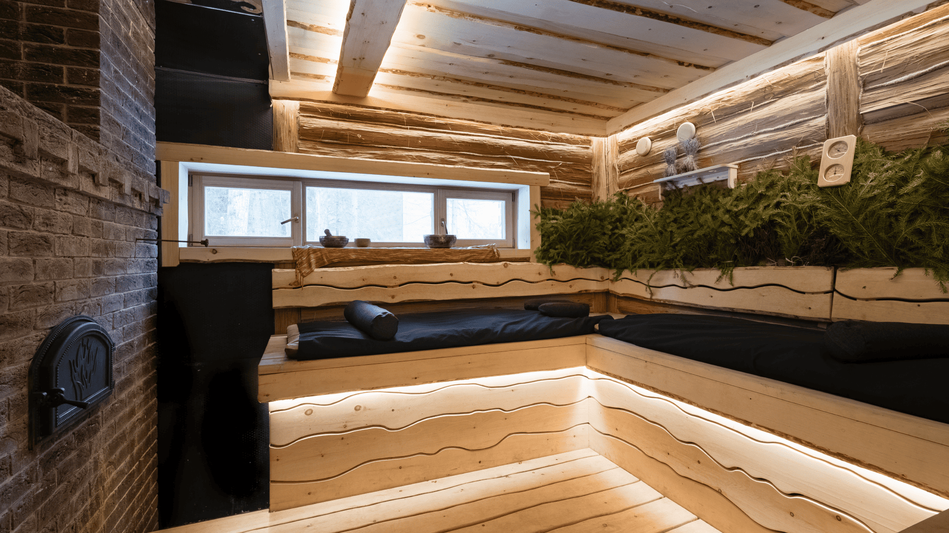 Жар-птица №11