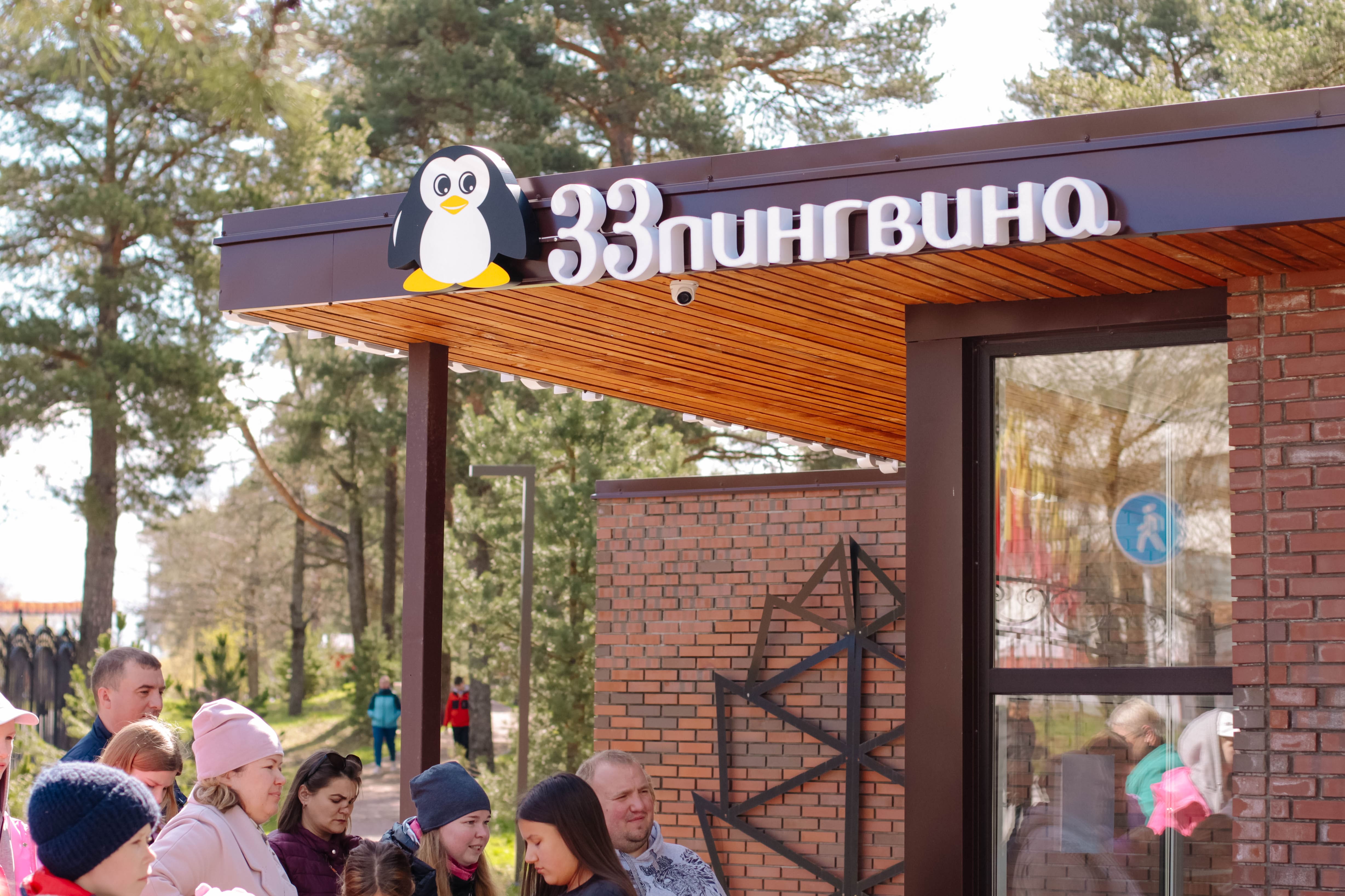 33 пингвина №10