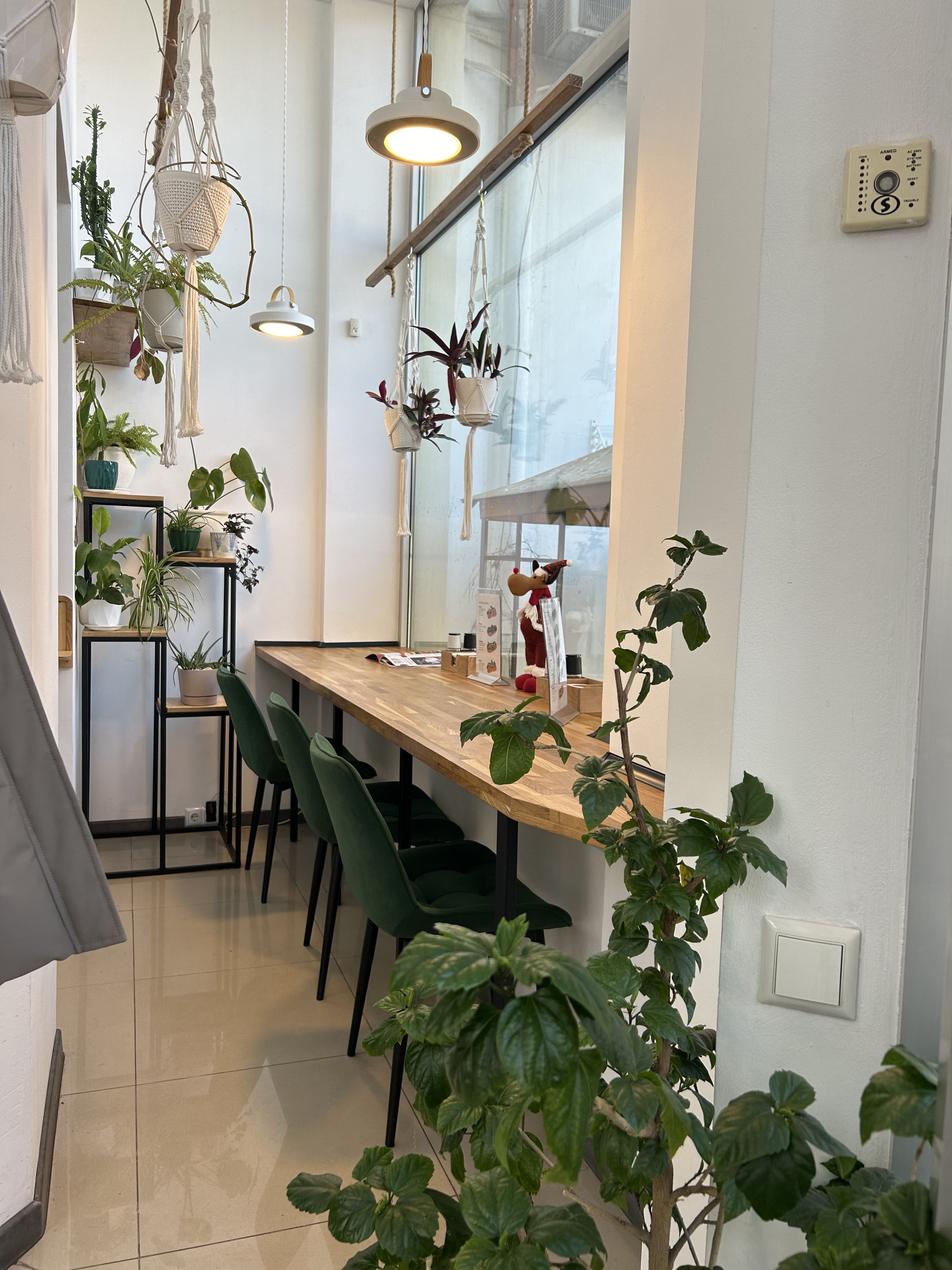 Раки&Эклеры №11