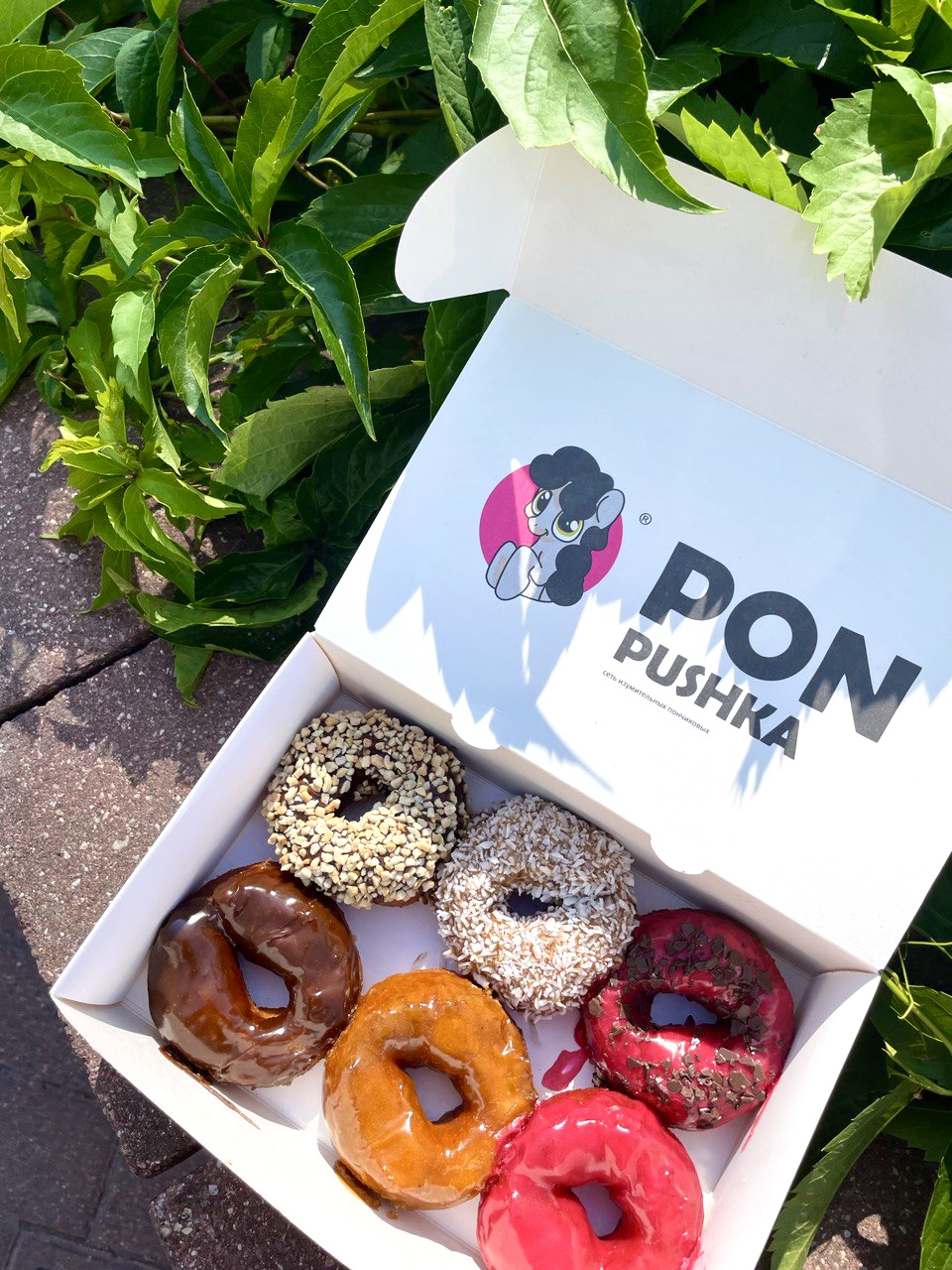 ПОН-ПУШКА №14