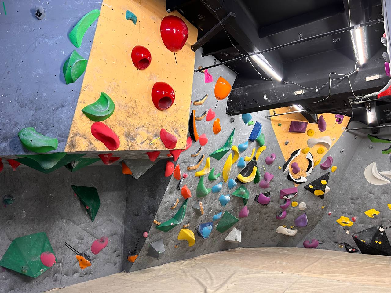 Осьминожки Скалодром №13