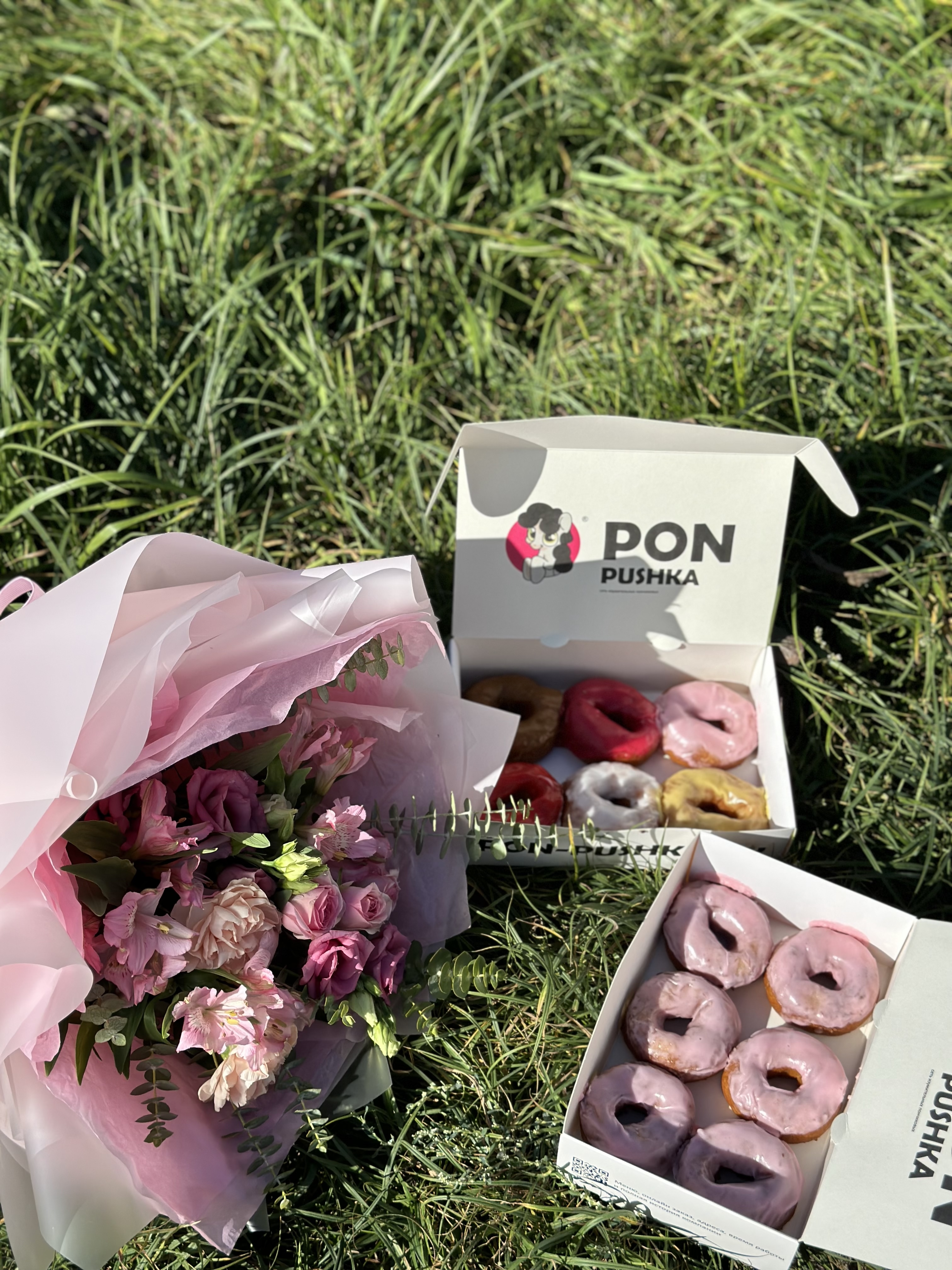 ПОН-ПУШКА №2