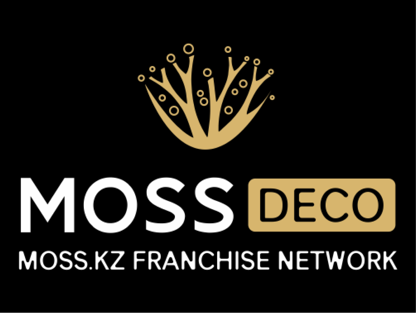 MOSS DECORE