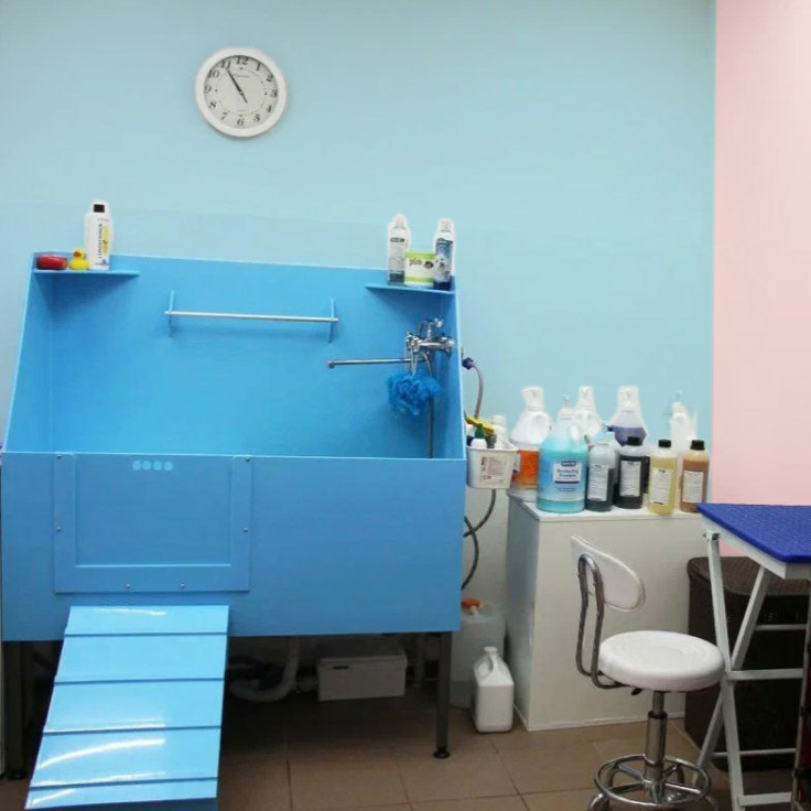 Бубочка №12