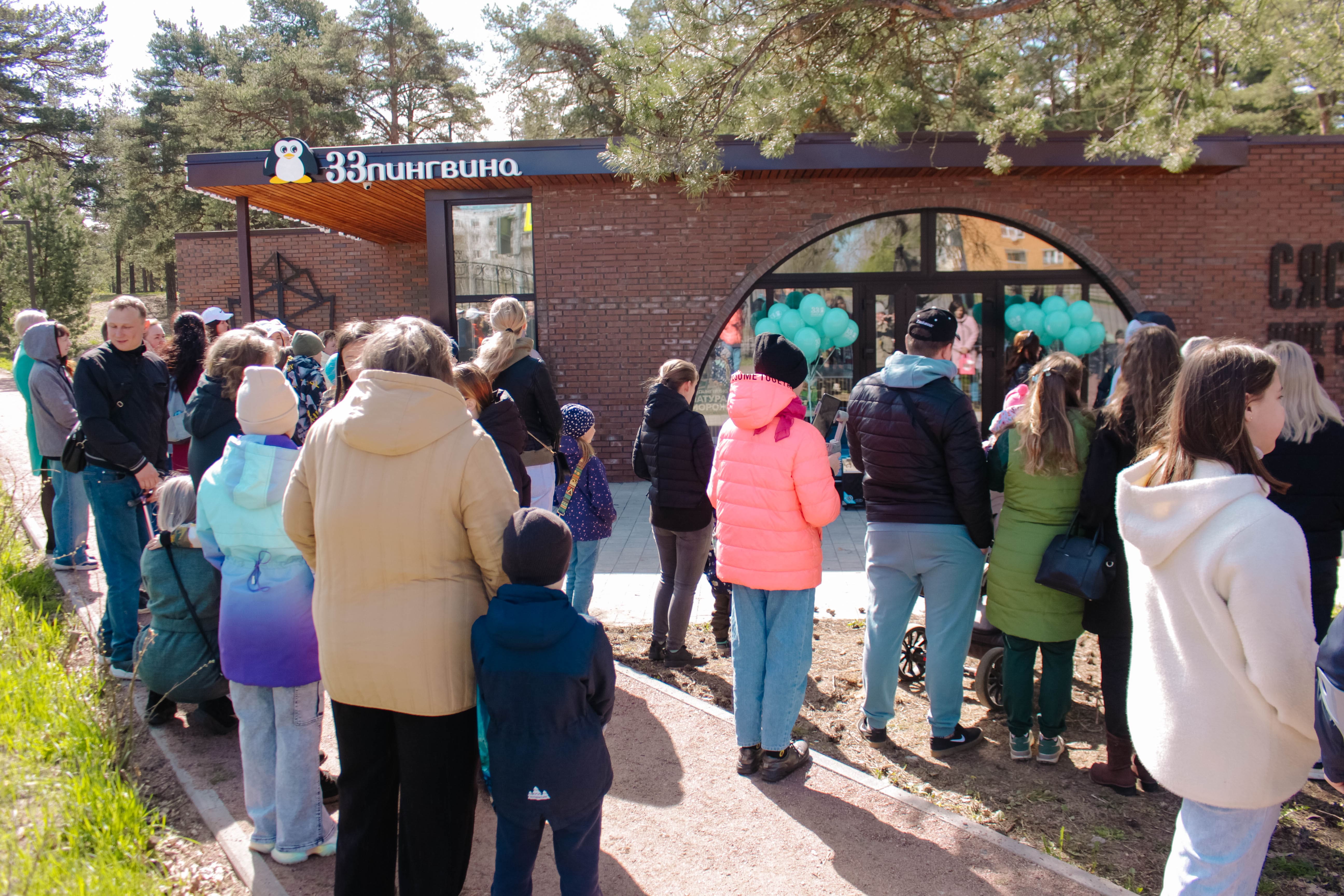 33 пингвина №11