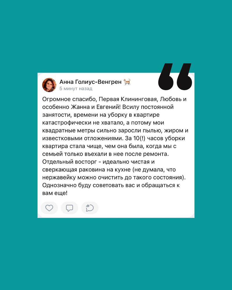 Первая клининговая №10