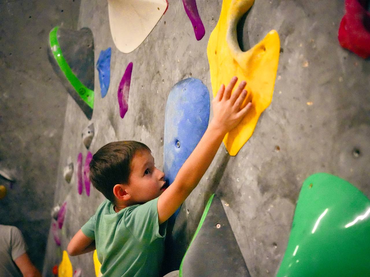 Осьминожки Скалодром №9