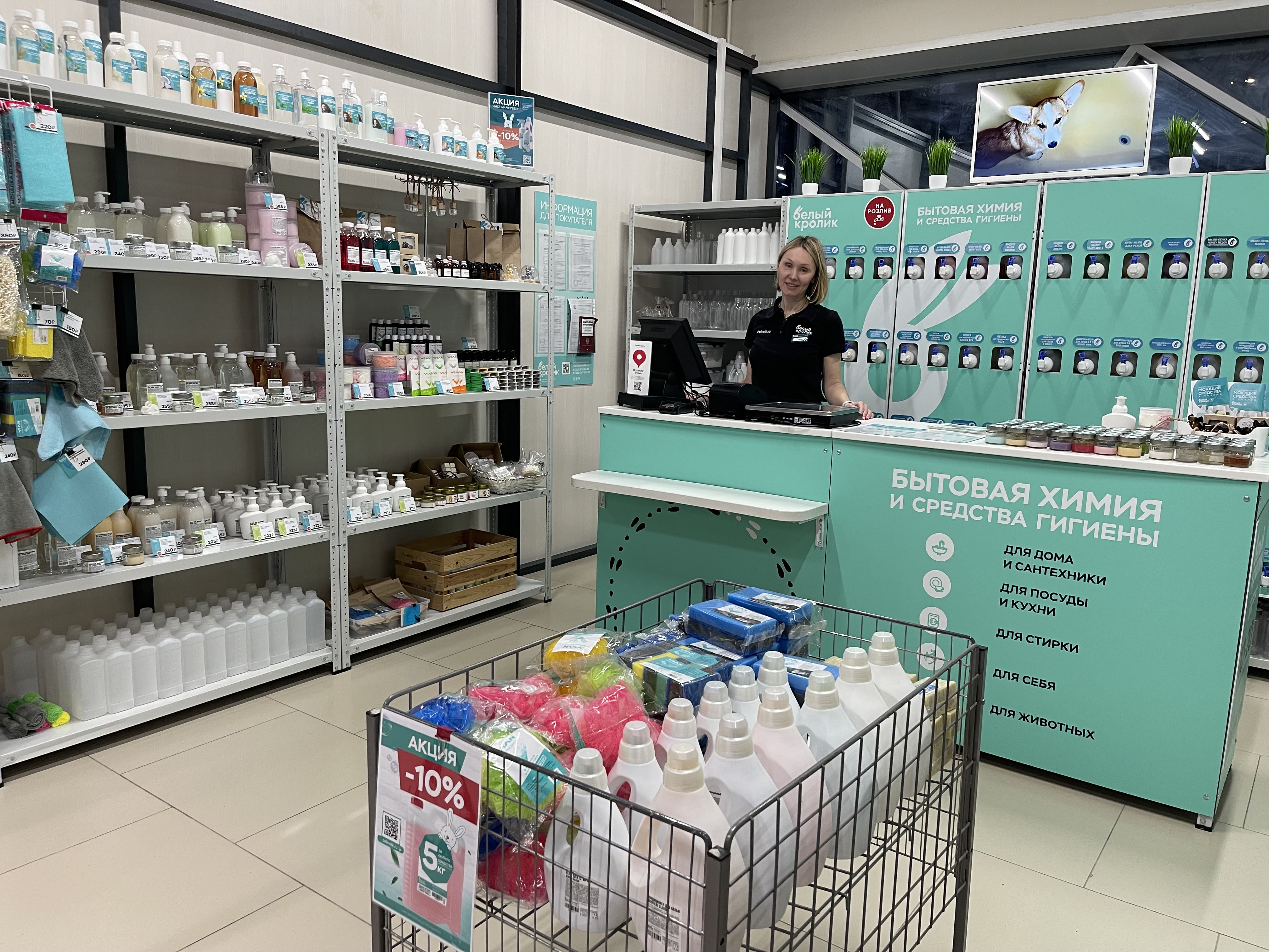 Белый кролик №2