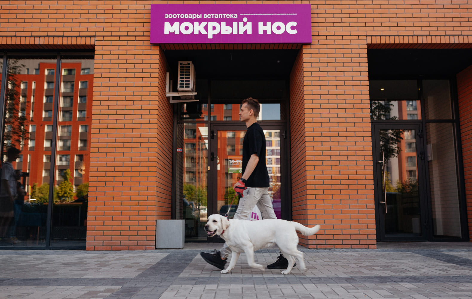 Мокрый нос №2