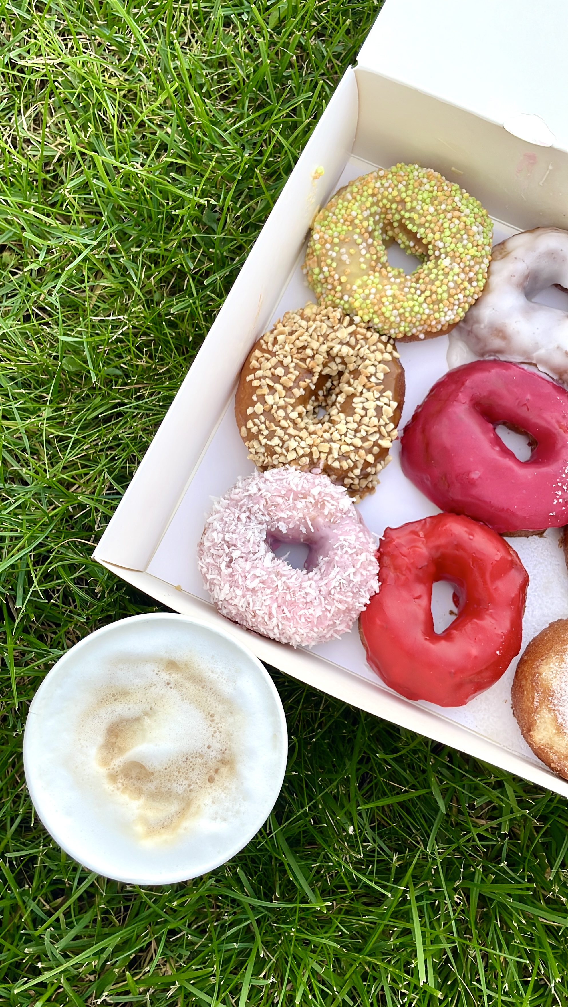 ПОН-ПУШКА №8