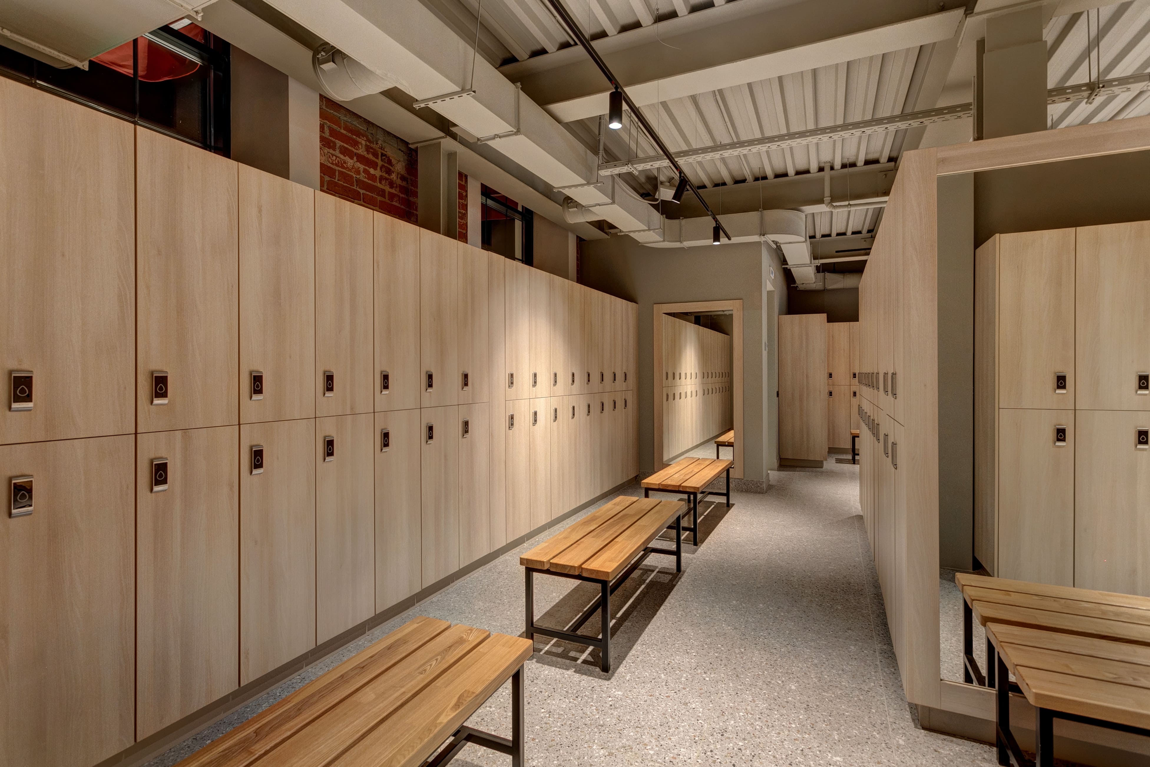 Жар-птица №4