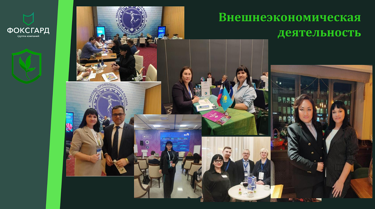 ФоксГард №11