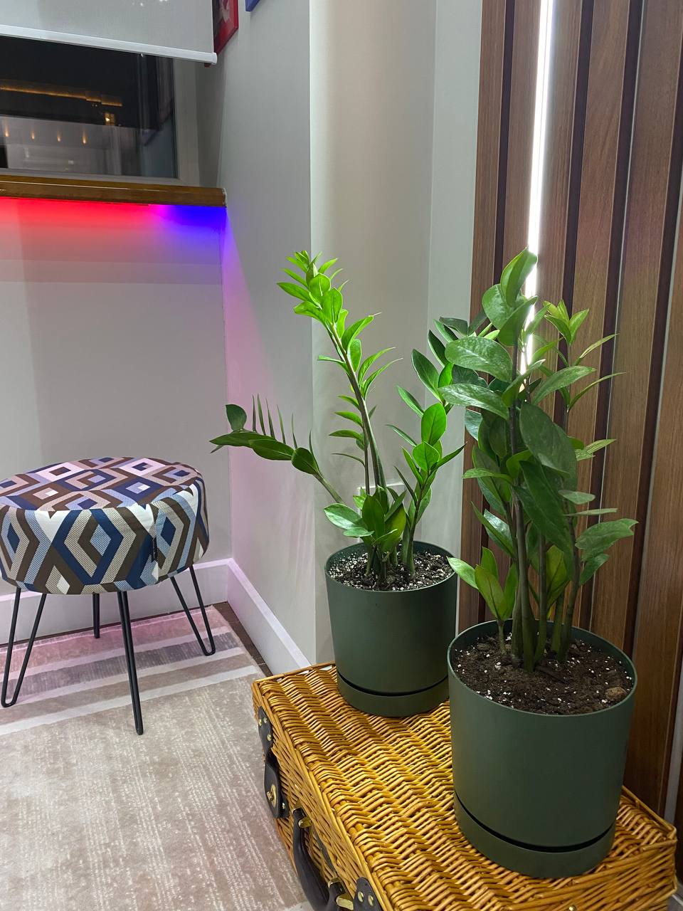 Окна-Нова №4