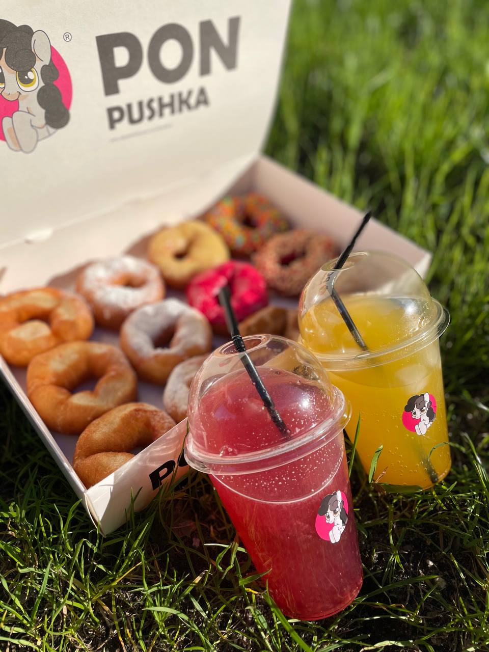 ПОН-ПУШКА №13