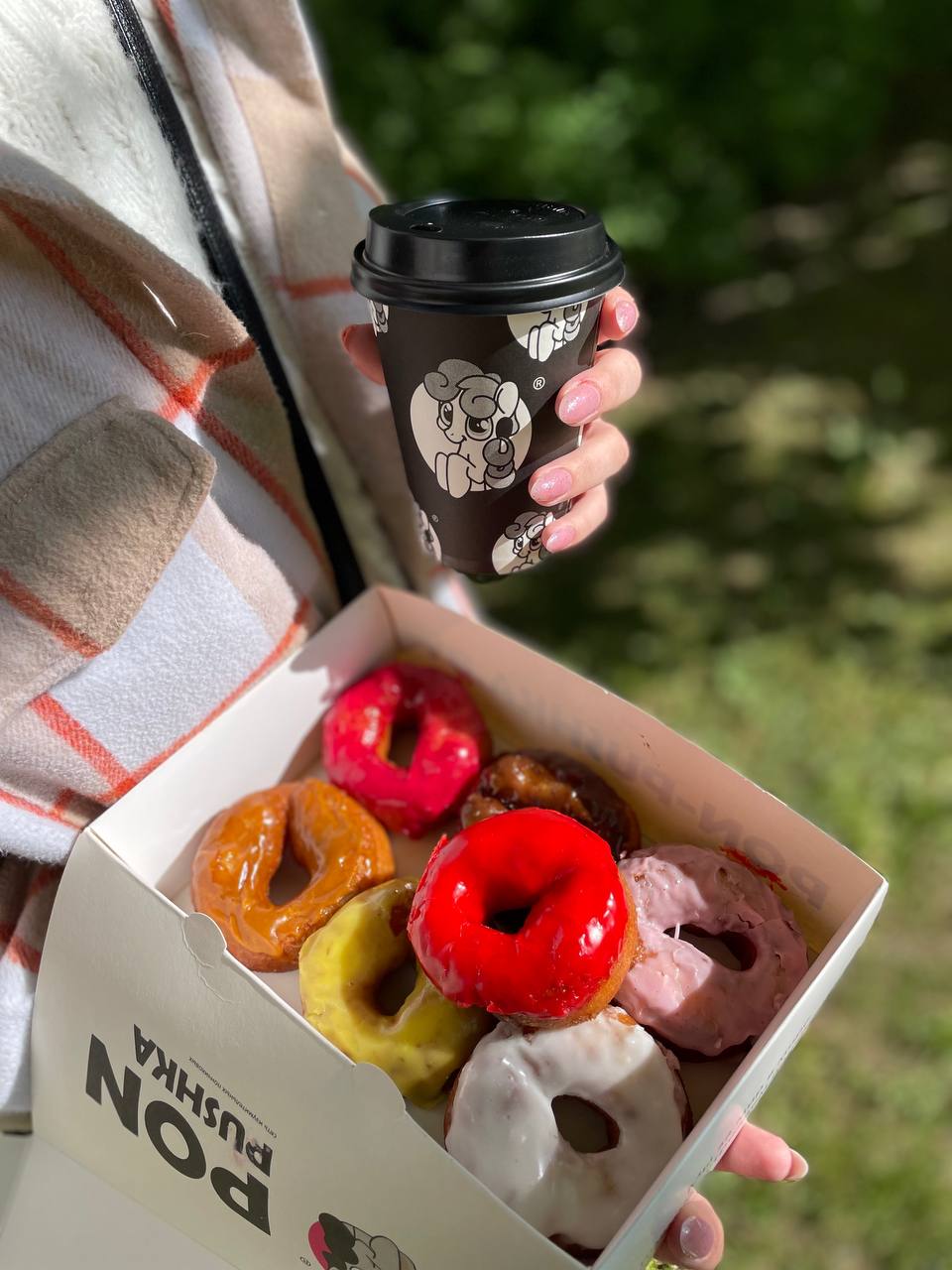 ПОН-ПУШКА №19