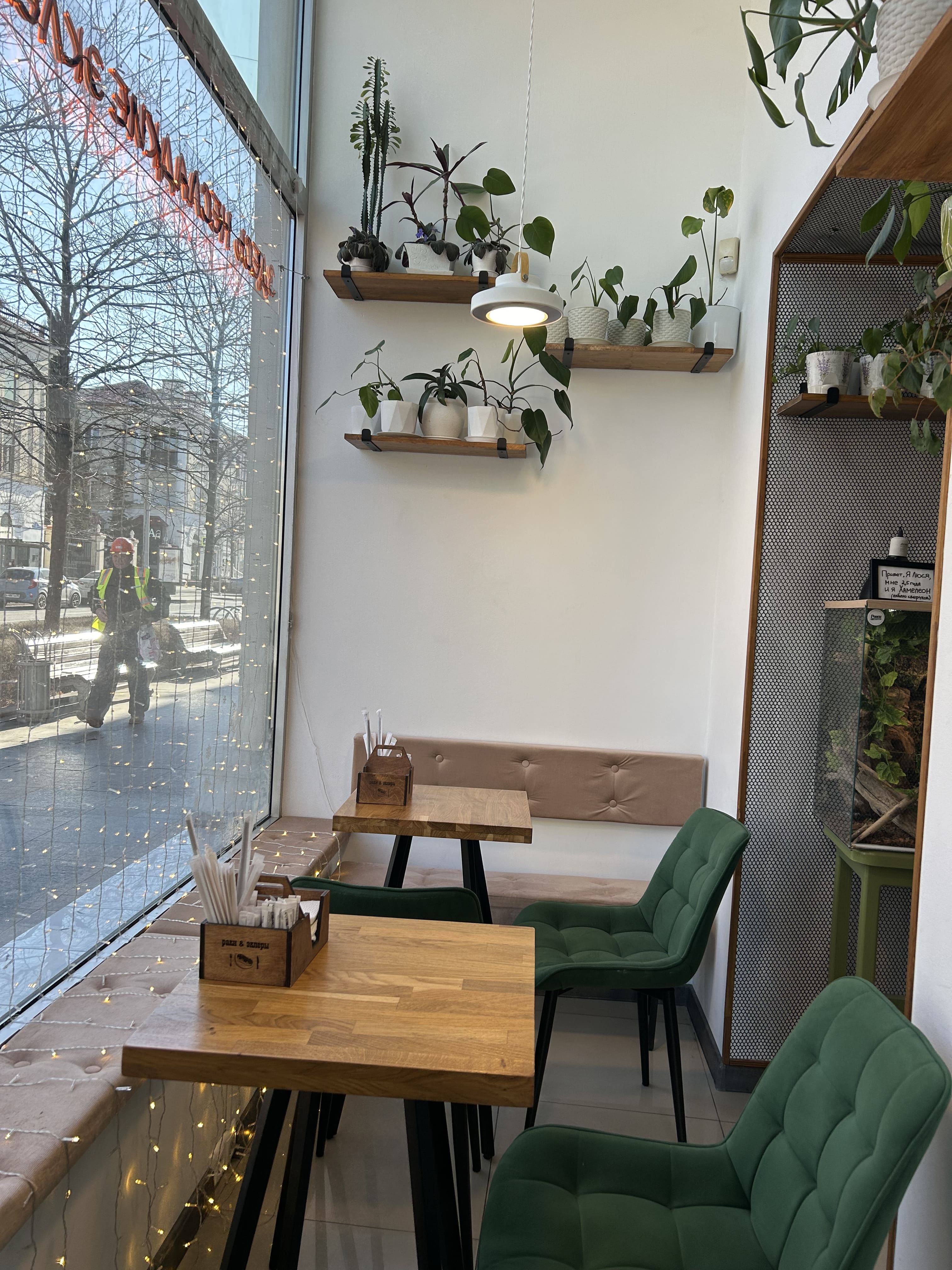 Раки&Эклеры №9