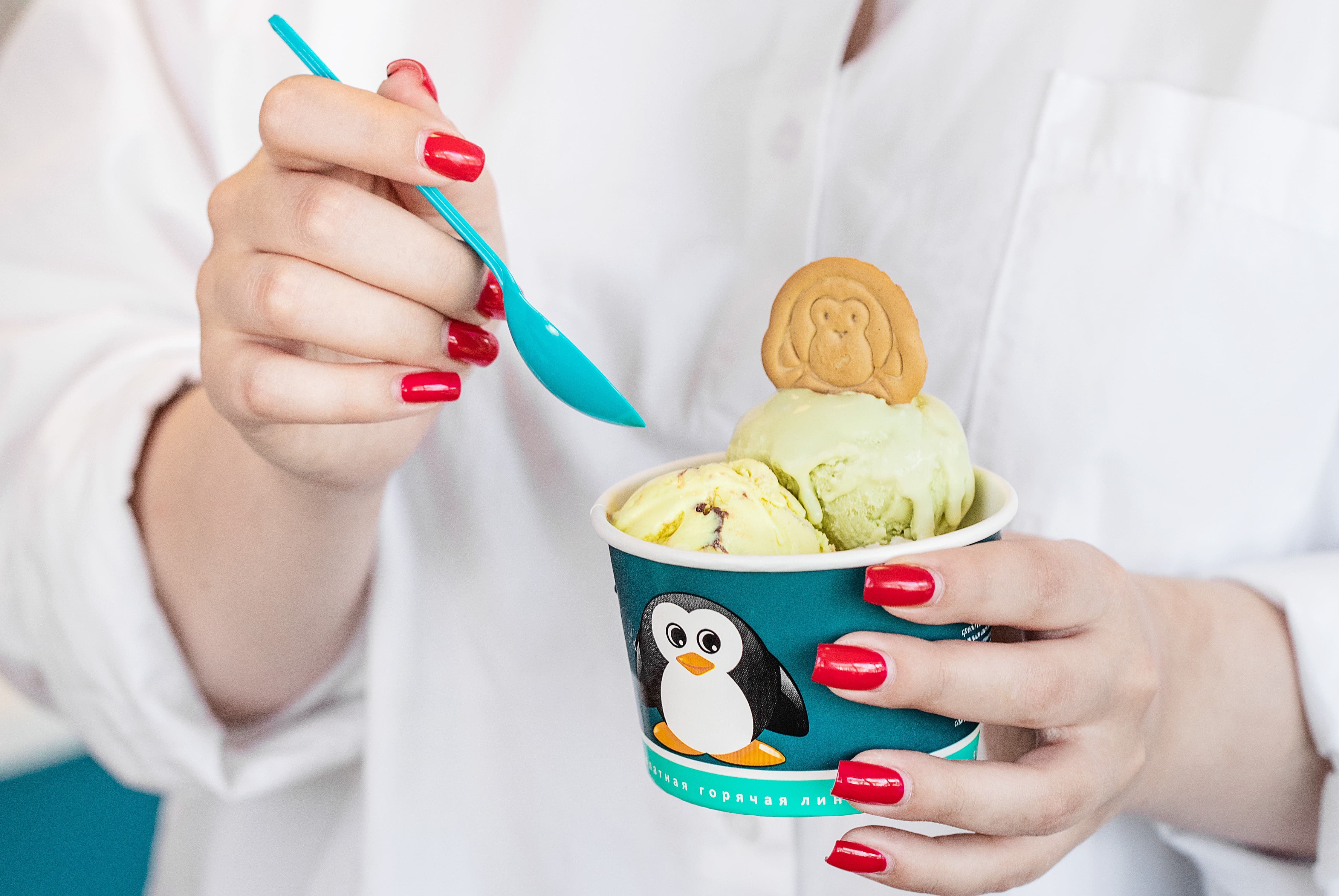 33 пингвина №6