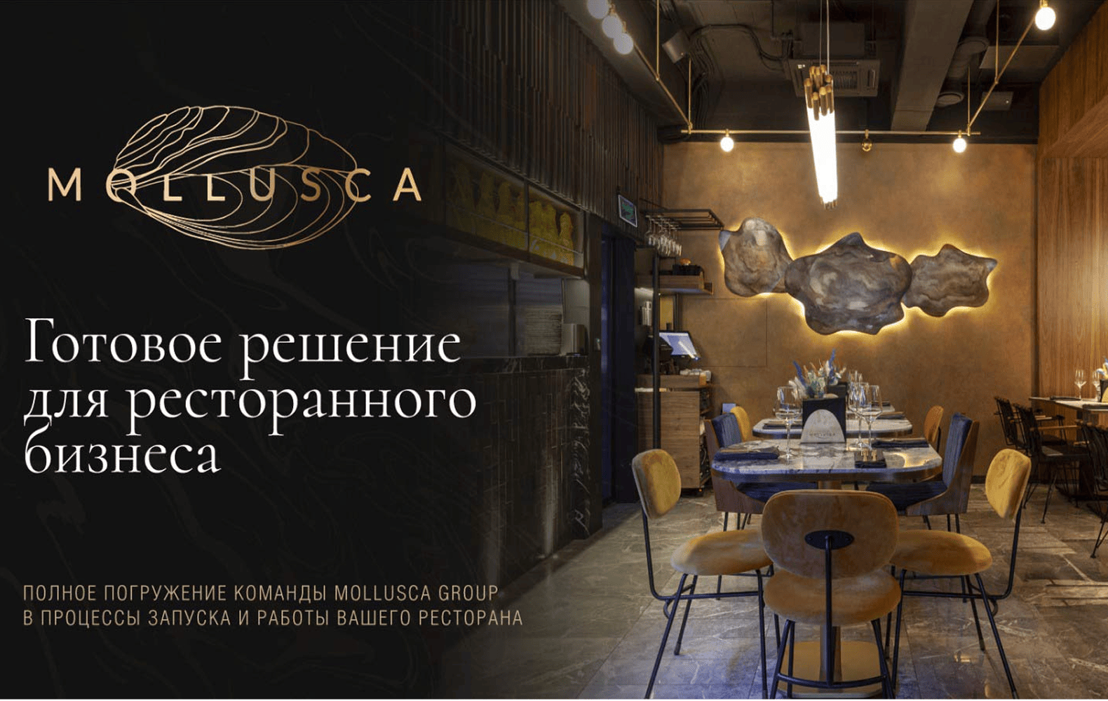 Превью Mollusca