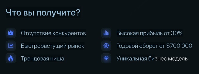 Что дает франшиза Markiz?